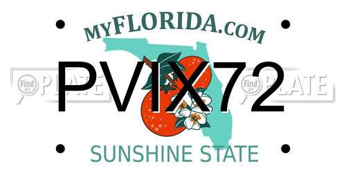 PVIX72 Florida License Plate