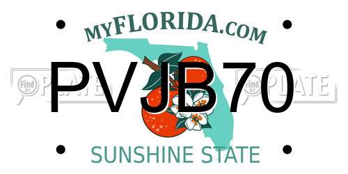 PVJB70 Florida License Plate