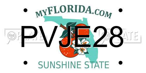 PVJE28 Florida License Plate