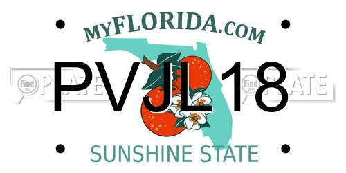 PVJL18 Florida License Plate