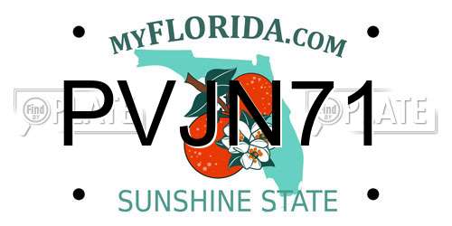 PVJN71 Florida License Plate