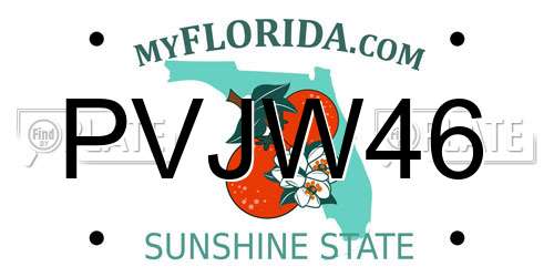 PVJW46 Florida License Plate