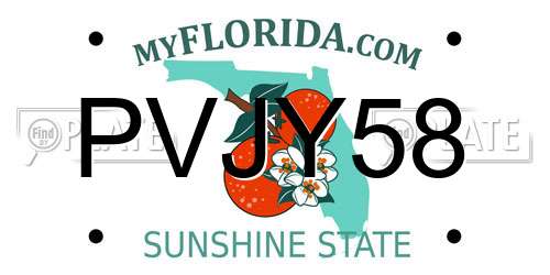 PVJY58 Florida License Plate