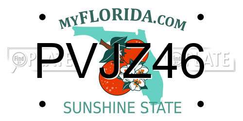 PVJZ46 Florida License Plate