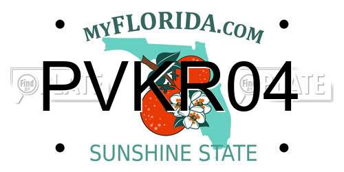PVKR04 Florida License Plate