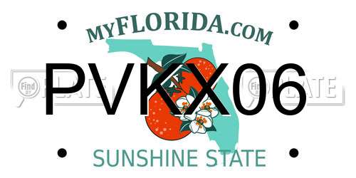 PVKX06 Florida License Plate