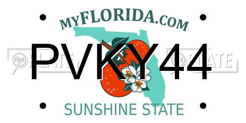 PVKY44 Florida License Plate