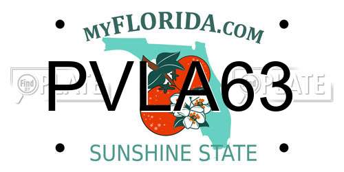 PVLA63 Florida License Plate