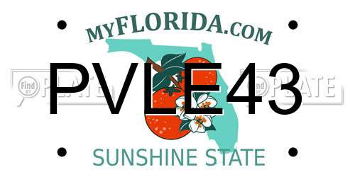 PVLE43 Florida License Plate