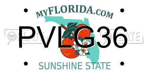 PVLG36 Florida License Plate