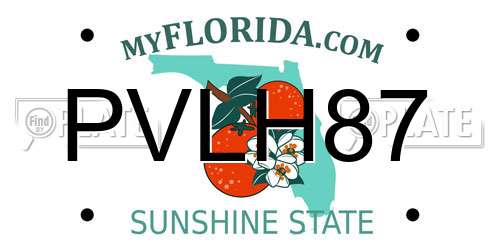 PVLH87 Florida License Plate