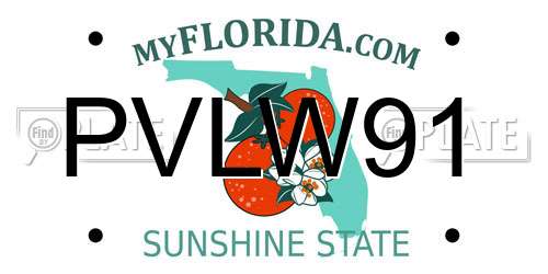 PVLW91 Florida License Plate