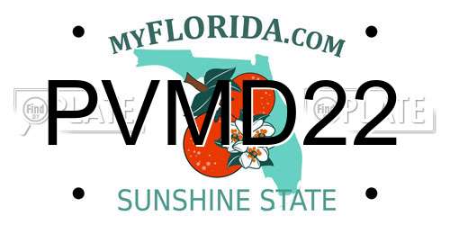 PVMD22 Florida License Plate