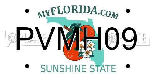 PVMH09 Florida License Plate