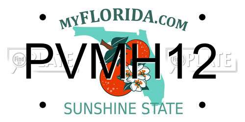 PVMH12 Florida License Plate