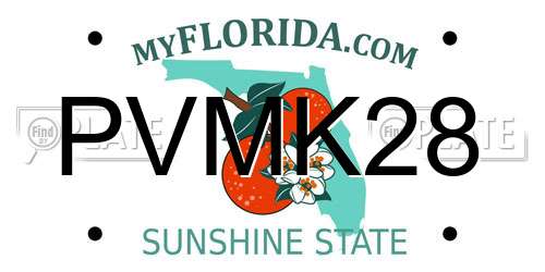 PVMK28 Florida License Plate