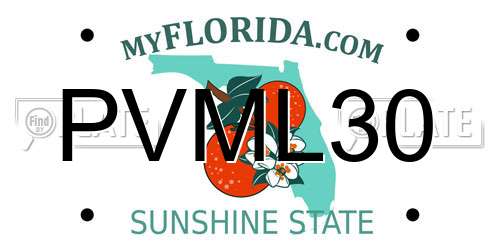 PVML30 Florida License Plate