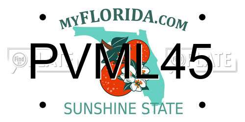 PVML45 Florida License Plate