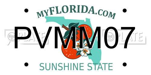 PVMM07 Florida License Plate