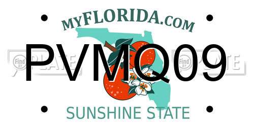 PVMQ09 Florida License Plate