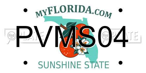 PVMS04 Florida License Plate