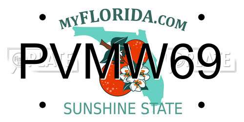 PVMW69 Florida License Plate