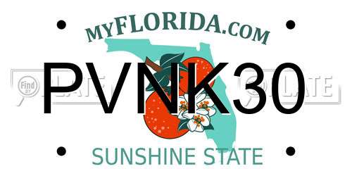 PVNK30 Florida License Plate