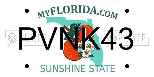 PVNK43 Florida License Plate