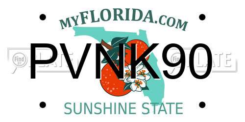 PVNK90 Florida License Plate