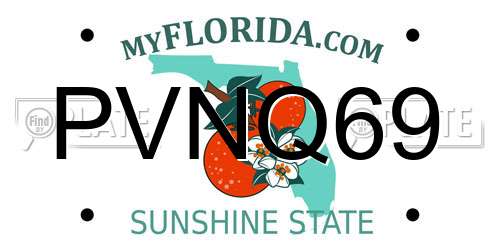 PVNQ69 Florida License Plate