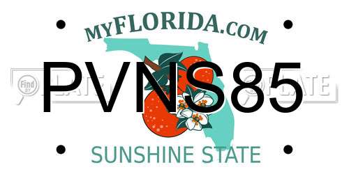 PVNS85 Florida License Plate