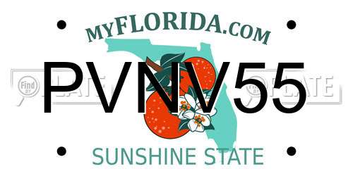 PVNV55 Florida License Plate