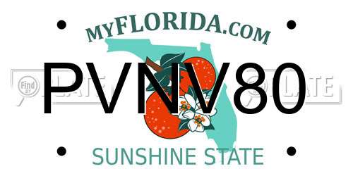 PVNV80 Florida License Plate