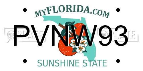 PVNW93 Florida License Plate