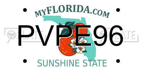 PVPE96 Florida License Plate