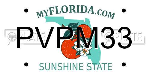 PVPM33 Florida License Plate