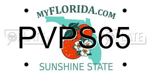 PVPS65 Florida License Plate