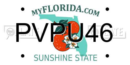 PVPU46 Florida License Plate