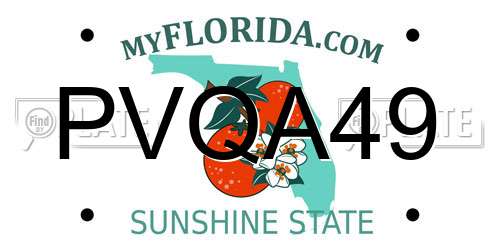 PVQA49 Florida License Plate