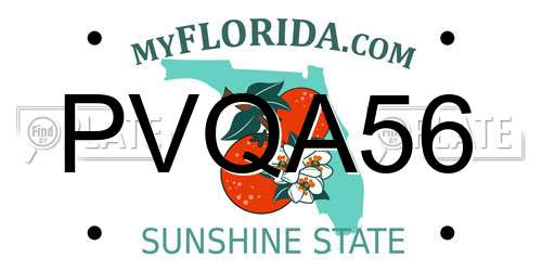 PVQA56 Florida License Plate