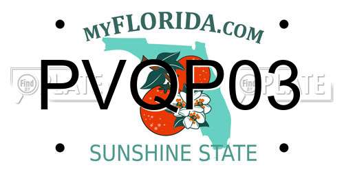 PVQP03 Florida License Plate