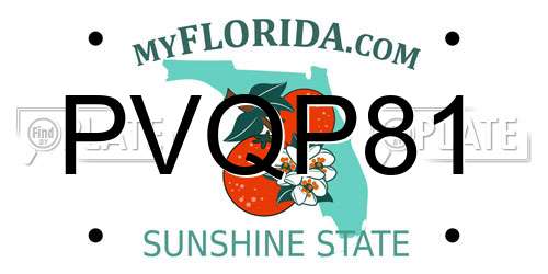 PVQP81 Florida License Plate