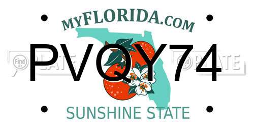 PVQY74 Florida License Plate