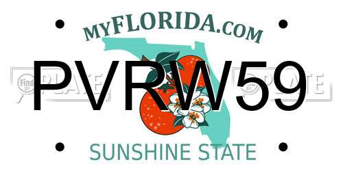 PVRW59 Florida License Plate
