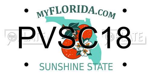 PVSC18 Florida License Plate