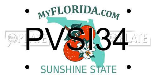 PVSI34 Florida License Plate