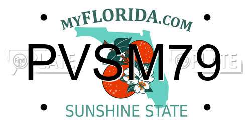 PVSM79 Florida License Plate