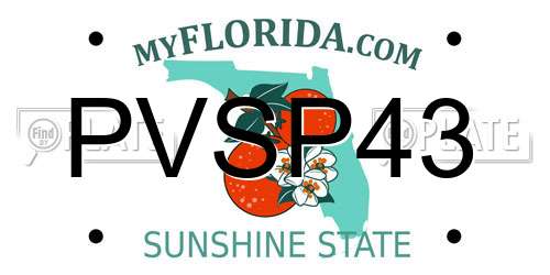 PVSP43 Florida License Plate
