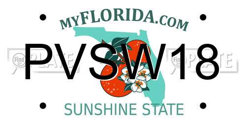 PVSW18 Florida License Plate