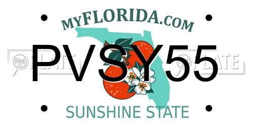 PVSY55 Florida License Plate